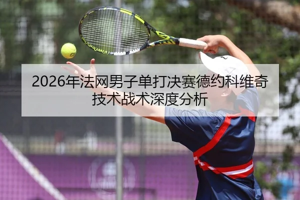 2026年法网男子单打决赛德约科维奇技术战术深度分析